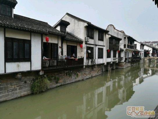 拯救精灵的土地9