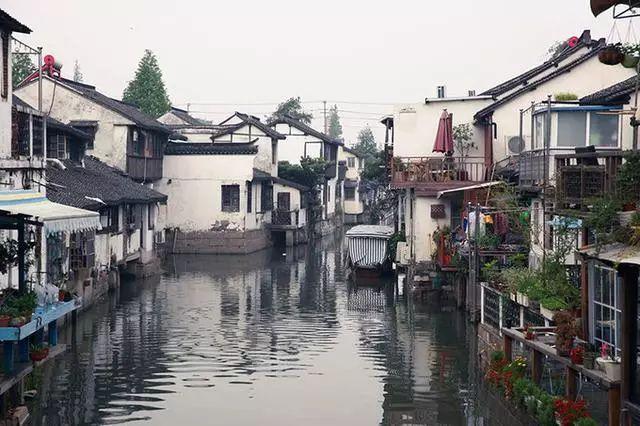 大金狮逃生