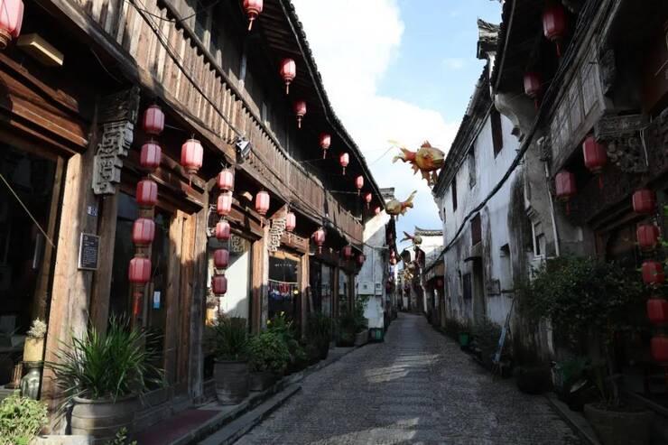 米乐米可森林大冒险